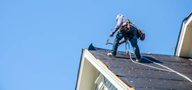 Best Roof Gutter Cleaning  in Morse, LA
